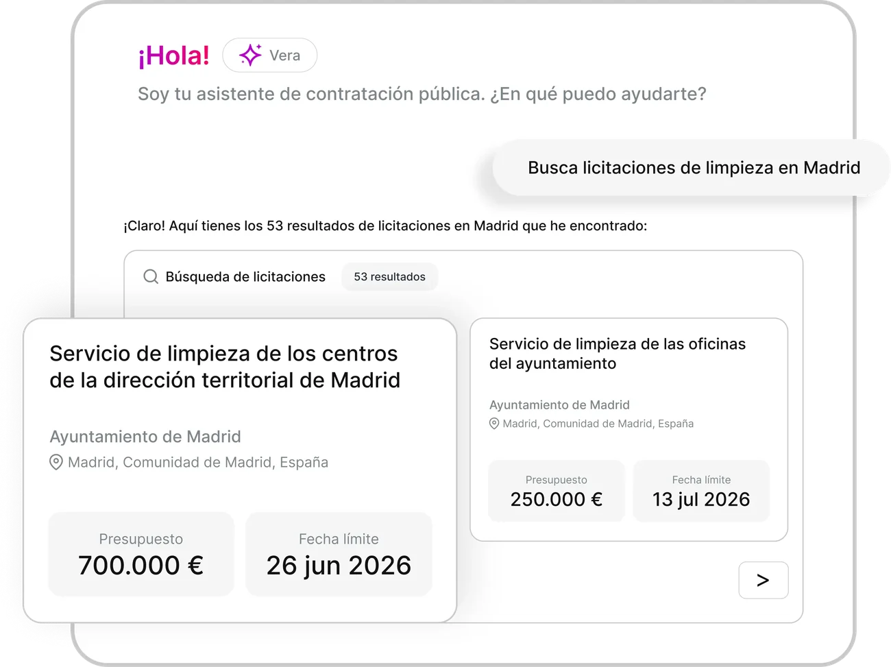 Vera, la asistente de IA de Tendios, buscando licitaciones